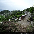 抱仔腳山.倒照湖山西峰.石壁坑山.溪頭山 061.JPG