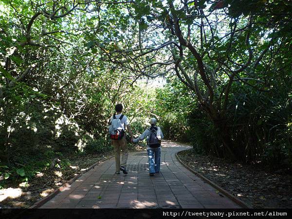 七天六夜機車環島遊 608.JPG