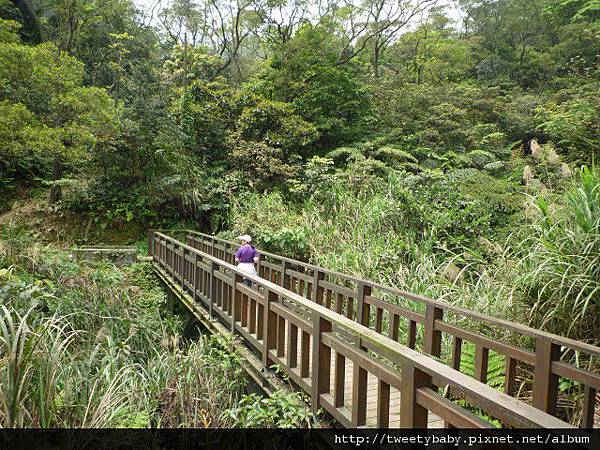 猴硐.烏塗窟山.獅子嘴奇岩.三貂嶺 131.JPG