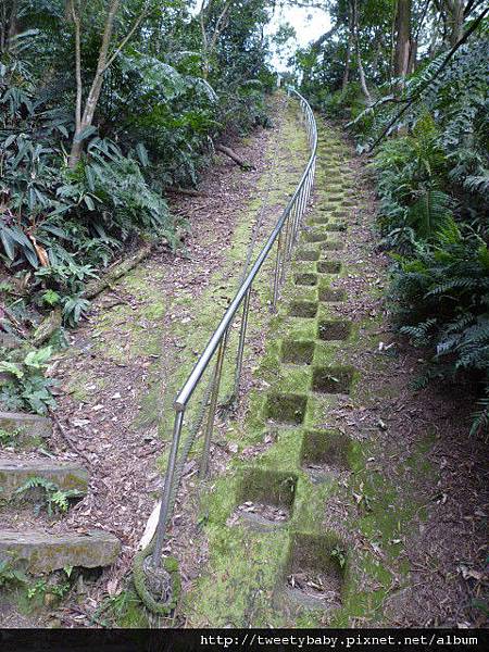 新店小獅山福民橋登山口 021.JPG