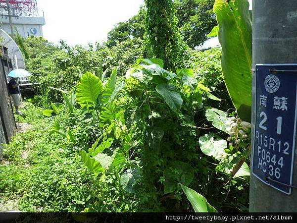 砲台山.七星嶺.內埤海灘.蘭陽博物館.伯朗咖啡 100.JPG