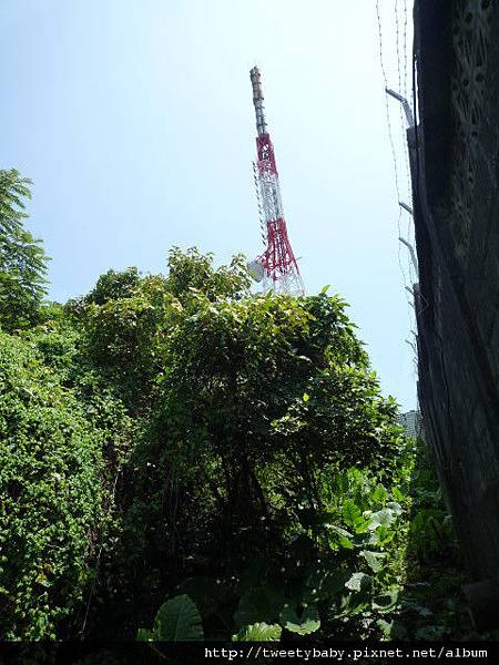 砲台山.七星嶺.內埤海灘.蘭陽博物館.伯朗咖啡 104.JPG