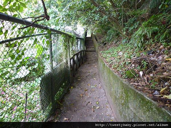 土地公嶺 013.JPG