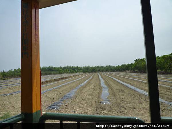 2011校際交流 042.JPG