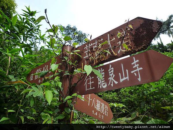 十八羅漢奇岩 006.JPG 十八羅漢奇岩 006.JPG
