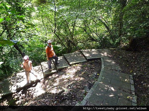 薯榔尖.石筍尖 076.JPG