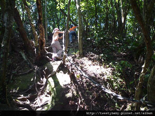 薯榔尖.石筍尖 078.JPG