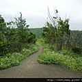 虎頭山公園.三分山.五分山.虎頭山 115.JPG