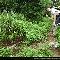 虎頭山公園.三分山.五分山.虎頭山 180.JPG