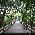 虎頭山公園.三分山.五分山.虎頭山 198.JPG