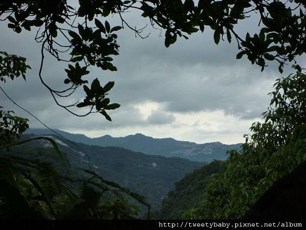 蕃薯寮山.蕃薯寮古道一小段 049.JPG