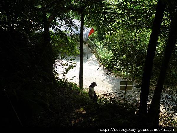 山羊洞.逍遙洞 156.JPG