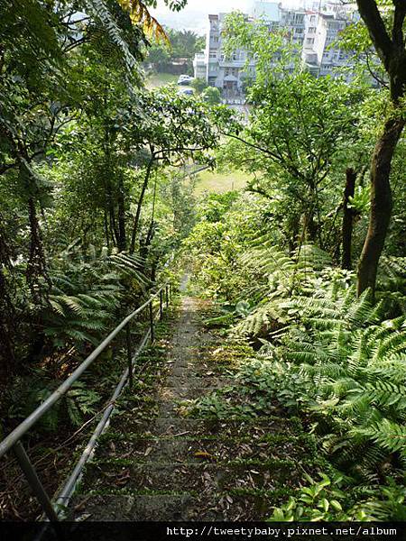 小獅山長春路登山口 021.JPG