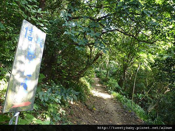 象山下班散步行 006.JPG