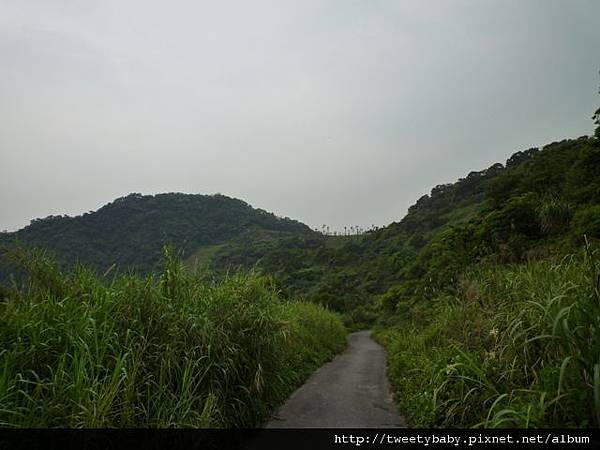 新高麗坑山找不到 035.JPG