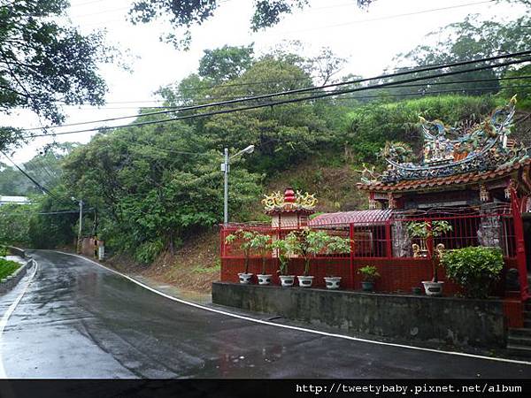 祖眉坑山找不到 002.JPG 祖眉坑山找不到 002.JPG
