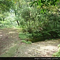 烏塗窟山.二格山自然步道.蕃薯窩山 039.JPG