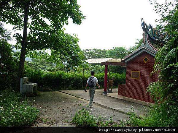 烏塗窟山.二格山自然步道.蕃薯窩山 040.JPG