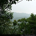 烏塗窟山.二格山自然步道.蕃薯窩山 059.JPG