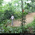 烏塗窟山.二格山自然步道.蕃薯窩山 061.JPG