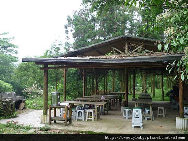 烏塗窟山.二格山自然步道.蕃薯窩山 113.JPG