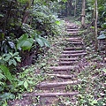 烏塗窟山.二格山自然步道.蕃薯窩山 128.JPG