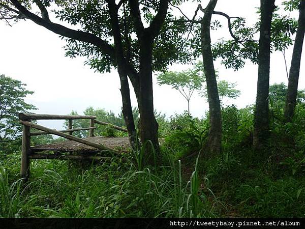 烏塗窟山.二格山自然步道.蕃薯窩山 162.JPG