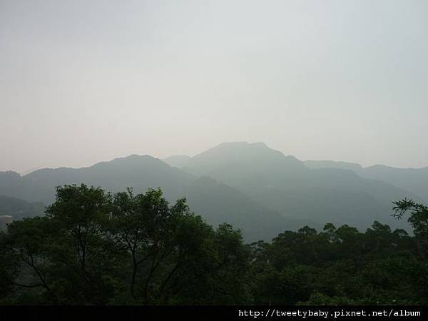 烏塗窟山.二格山自然步道.蕃薯窩山 191.JPG