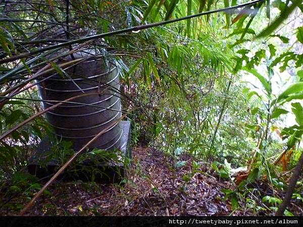 八堵山未竟之旅 024.JPG