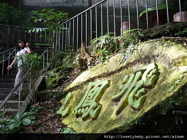 飛鳳山.三玄台.九華山 033.JPG