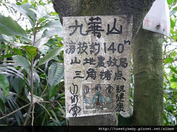 飛鳳山.三玄台.九華山 135.JPG