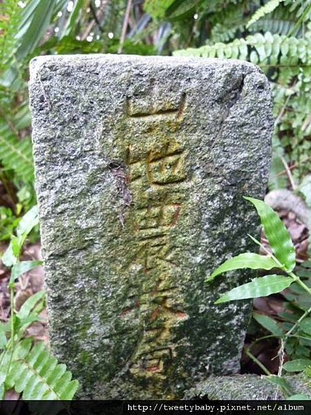 飛鳳山.三玄台.九華山 139.JPG