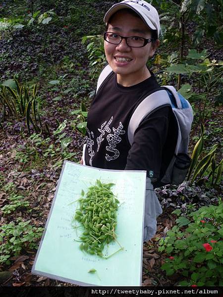 飛鳳山.三玄台.九華山 147.JPG