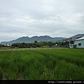 百年國慶.下田寮 038.JPG