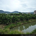 百年國慶.下田寮 053.JPG