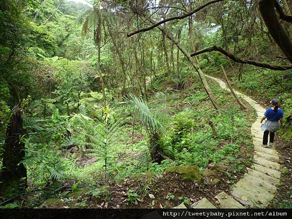 法鼓山天南寺 030.JPG