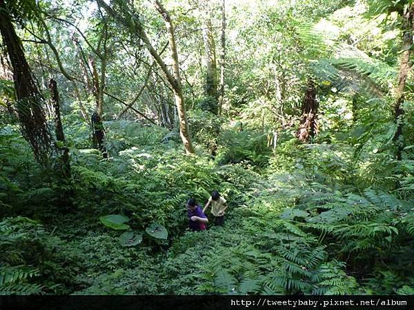 溪南尖 019.JPG