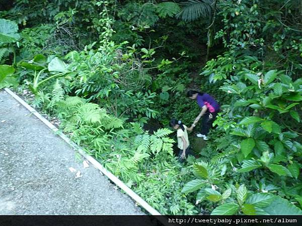 溪南尖 072.JPG
