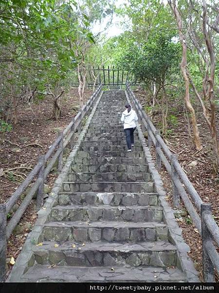 五股水碓景觀公園 .五股水碓山.厚讚牛排 021.JPG