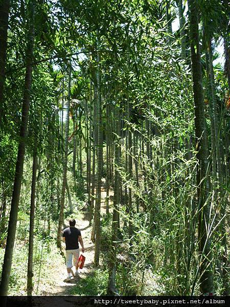 龍泉山寺登成福山 028.JPG