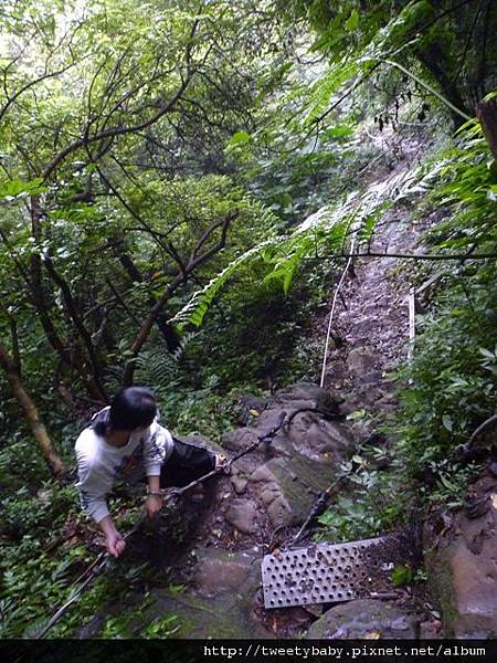 象山.拇指山.南港山南峰.萬壽園 116.JPG