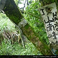 相對山.頂山南峰.瑪番山.頂山西南峰.頂山.高頂山.北五指山.杏林山 805.JPG