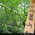 相對山.頂山南峰.瑪番山.頂山西南峰.頂山.高頂山.北五指山.杏林山 809.JPG