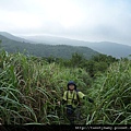 相對山.頂山南峰.瑪番山.頂山西南峰.頂山.高頂山.北五指山.杏林山 811.JPG