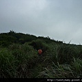 相對山.頂山南峰.瑪番山.頂山西南峰.頂山.高頂山.北五指山.杏林山 830.JPG