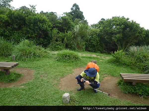 相對山.頂山南峰.瑪番山.頂山西南峰.頂山.高頂山.北五指山.杏林山 840.JPG