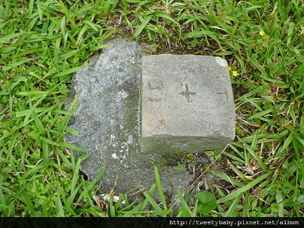 相對山.頂山南峰.瑪番山.頂山西南峰.頂山.高頂山.北五指山.杏林山 893.JPG