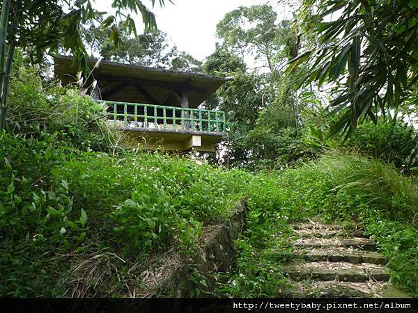 柑子坑山未遇.阿泉坑山.樟湖山.樟山寺 046.JPG