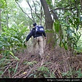 柑子坑山未遇.阿泉坑山.樟湖山.樟山寺 053.JPG