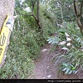 柑子坑山未遇.阿泉坑山.樟湖山.樟山寺 067.JPG